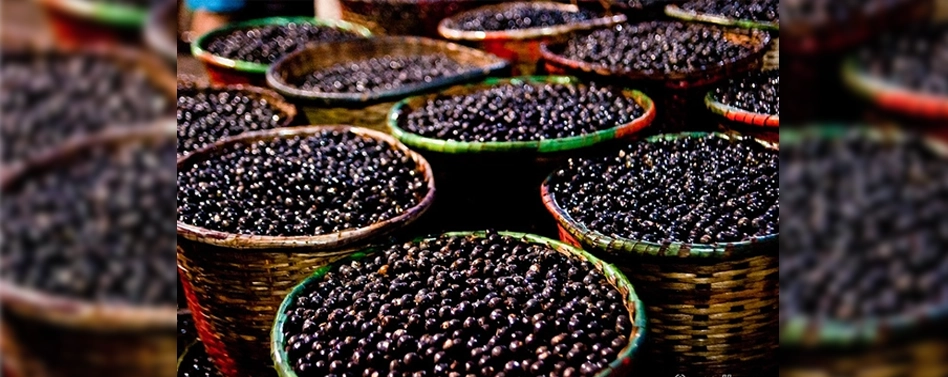 ACAI HOUSE banner
