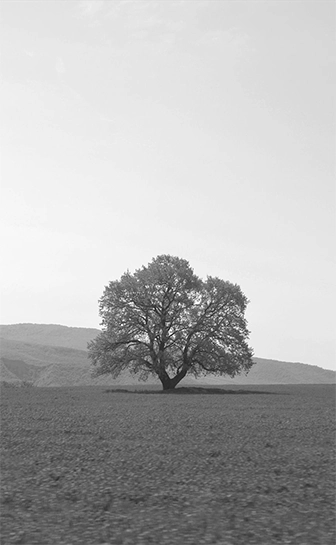 Heal & Rebuild Recovery Centre display
